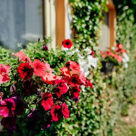 Сasa de vacaciones Domcek Na Staromestskej.