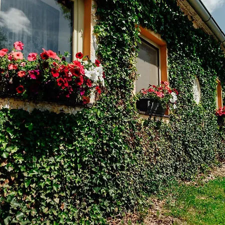 Domcek Na Staromestskej.