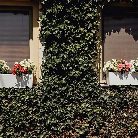 Domcek Na Staromestskej. * Banská Štiavnica