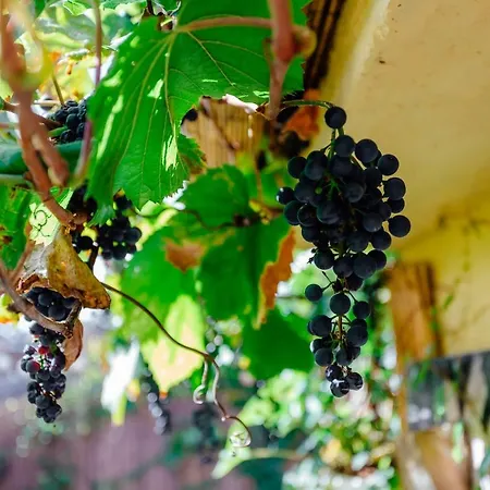 Domcek Na Staromestskej. *