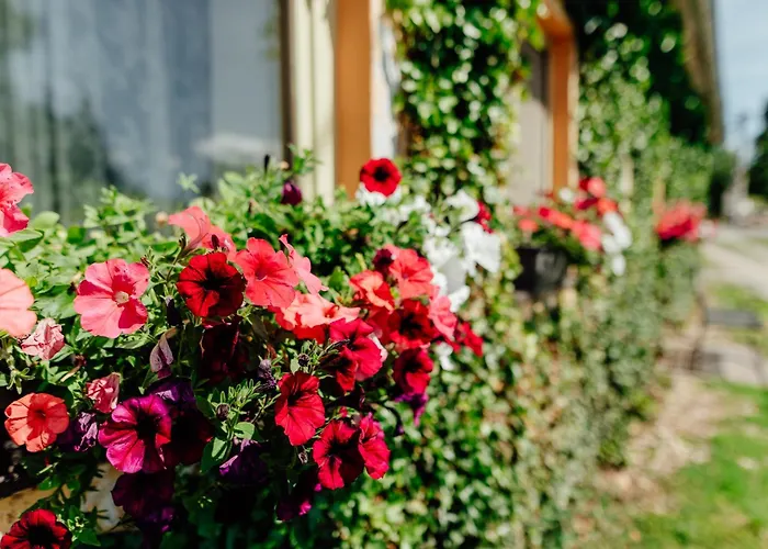 Дом отдыха Domcek Na Staromestskej.