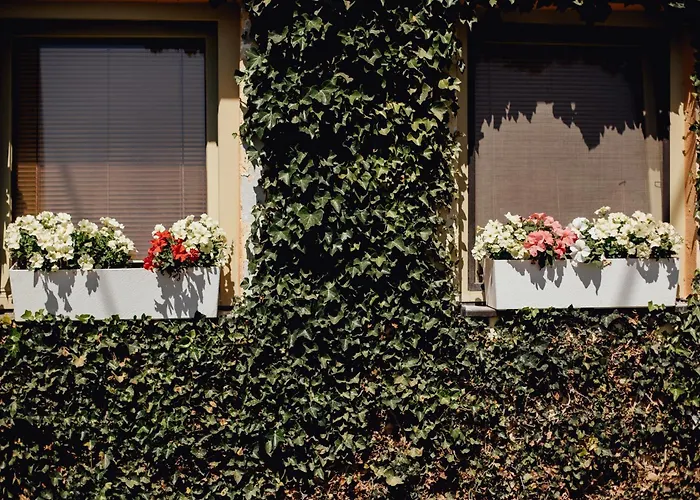 Domcek Na Staromestskej. * Банска-Штьявница