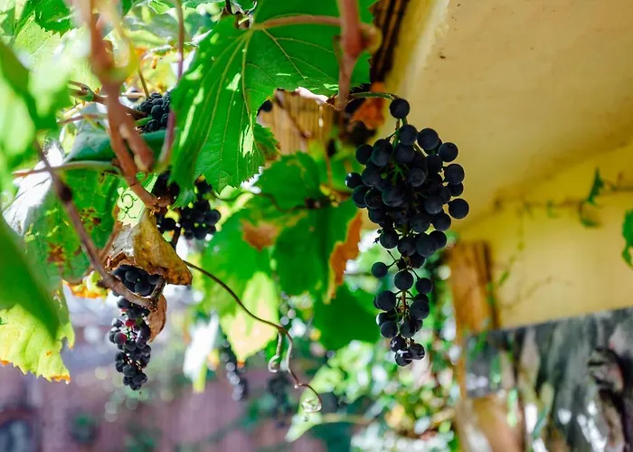 Domcek Na Staromestskej. *